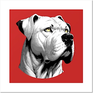 Stunning and Cool Dogo Argentino Monochrome and Gold Portrait for Father's Day Posters and Art